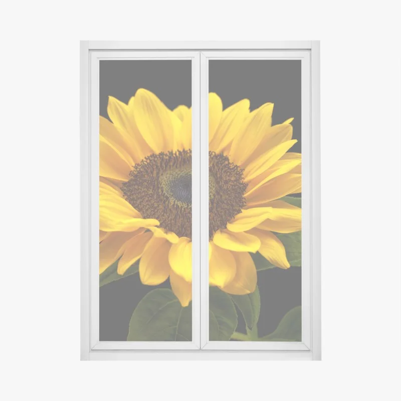 Window decal vibrant sunflower on black background