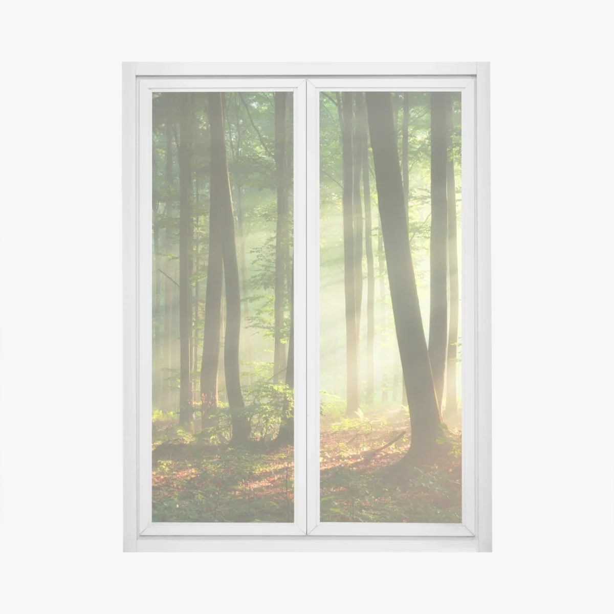 Window decal sunlit morning in the forest • Wallissimo® Window decal sunlit morning in the forest • Wallissimo®