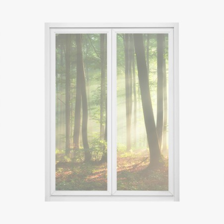 Window decal sunlit morning in the forest • Wallissimo®