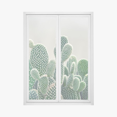 Window decal opuntia cactus close-up • Wallissimo®