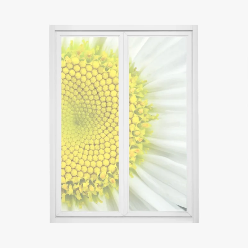 Window decal shasta daisy macro spiral