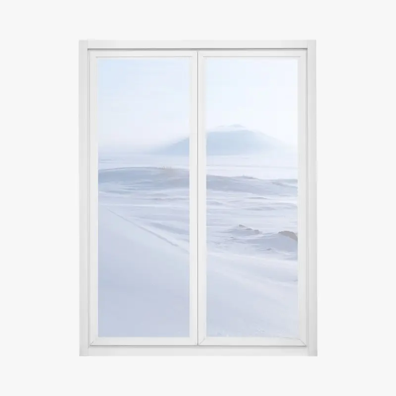 Window decal • Wallissimo®