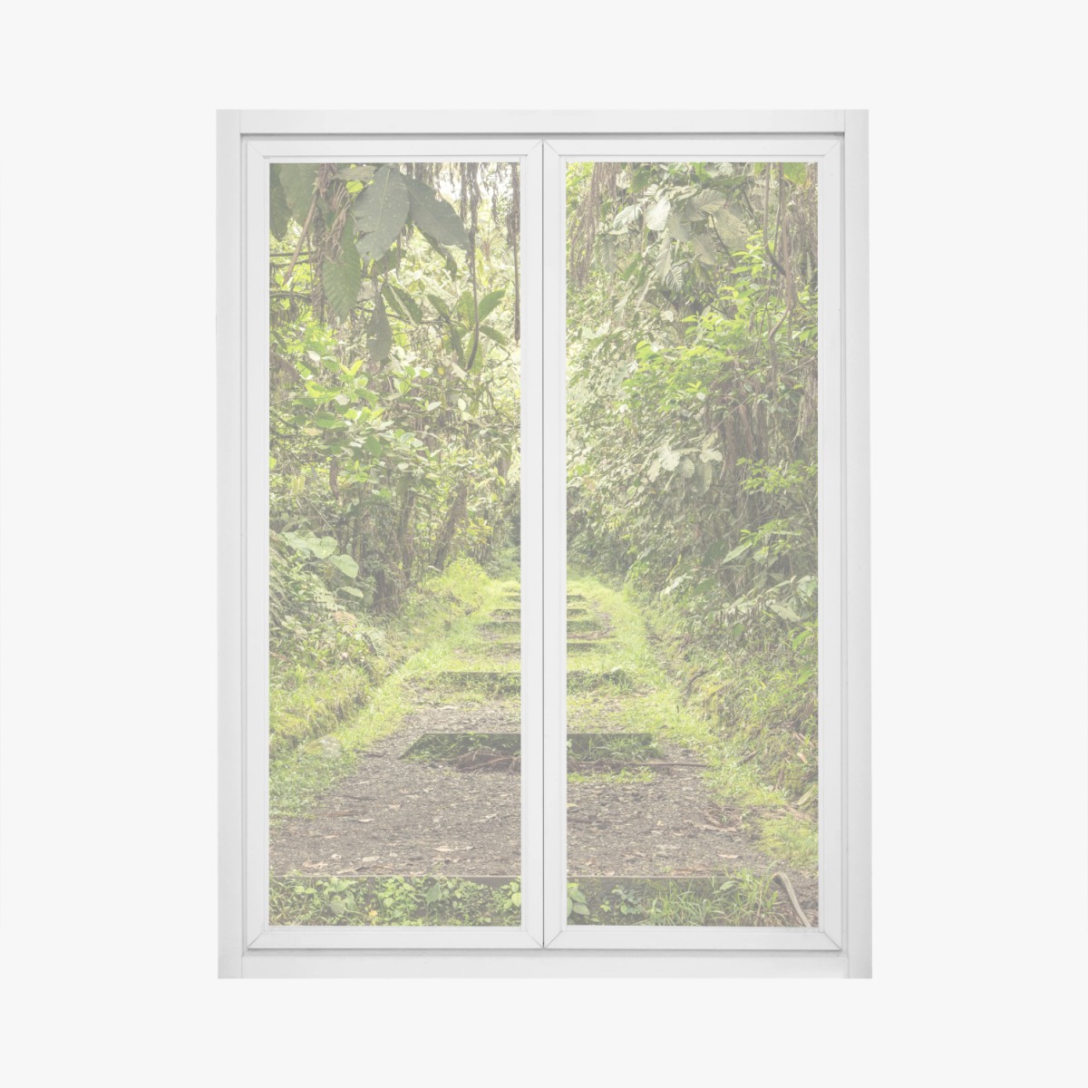 Window decal lush jungle pathway through verdant rainforest • Wallissimo® Window decal lush jungle pathway through verdant rainforest • Wallissimo®