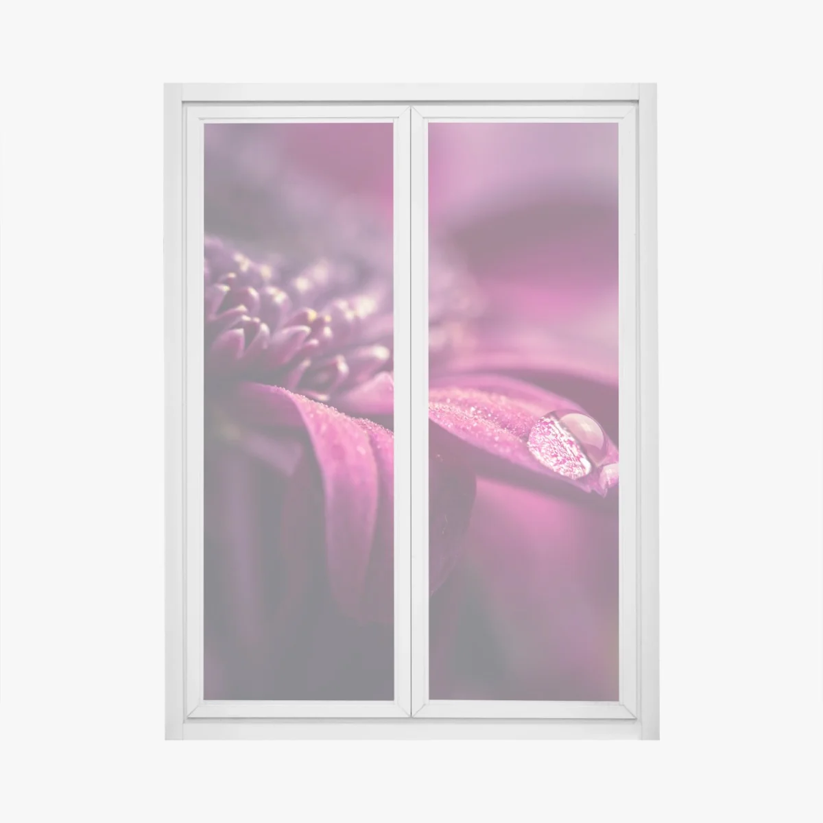 Window decal purple macro blossom with dewdrop • Wallissimo® Window decal purple macro blossom with dewdrop • Wallissimo®