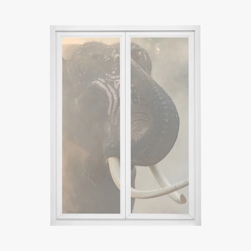 Window decal majestic Thai elephant with tusks