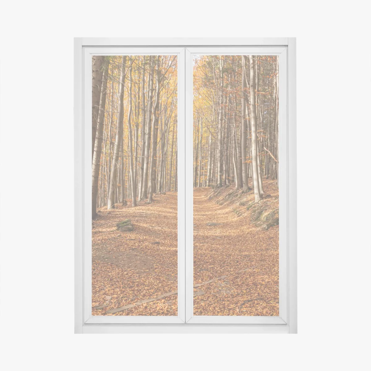 Window decal autumn forest path with golden leaves • Wallissimo® Window decal autumn forest path with golden leaves • Wallissimo®