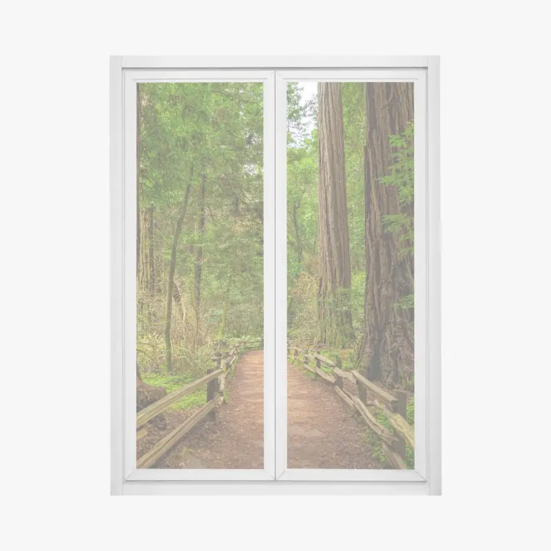 Window decal majestic forest path among redwoods