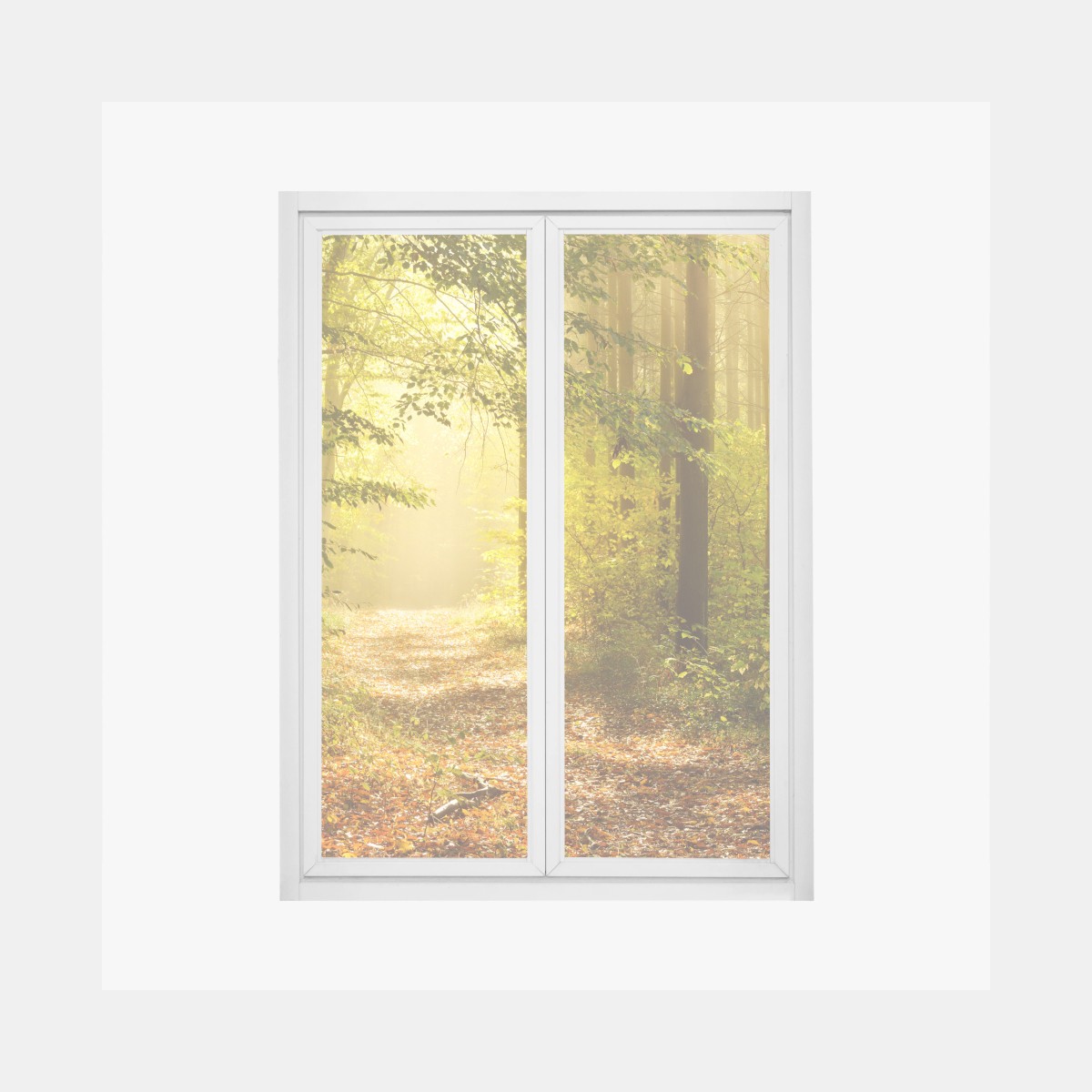 Window decal sunlit forest path in autumn • Wallissimo® Window decal sunlit forest path in autumn • Wallissimo®