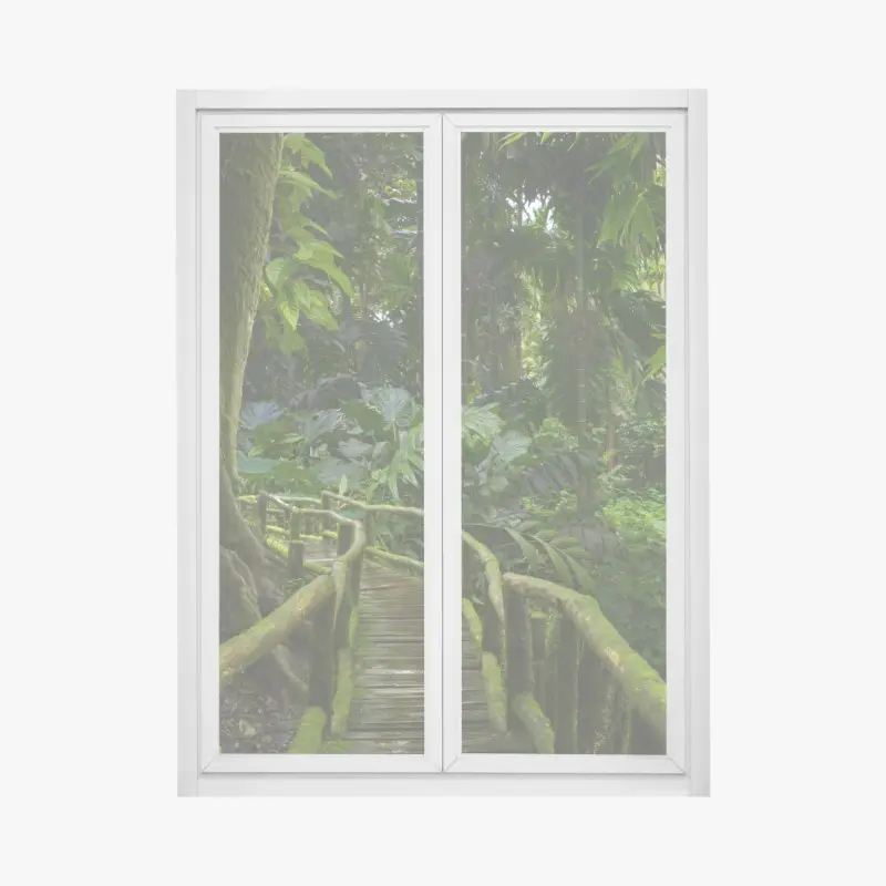 Window decal tranquil jungle boardwalk through lush rainforest