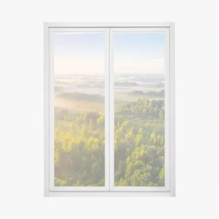 Window decal foggy morning at Zvanets marsh • Wallissimo®