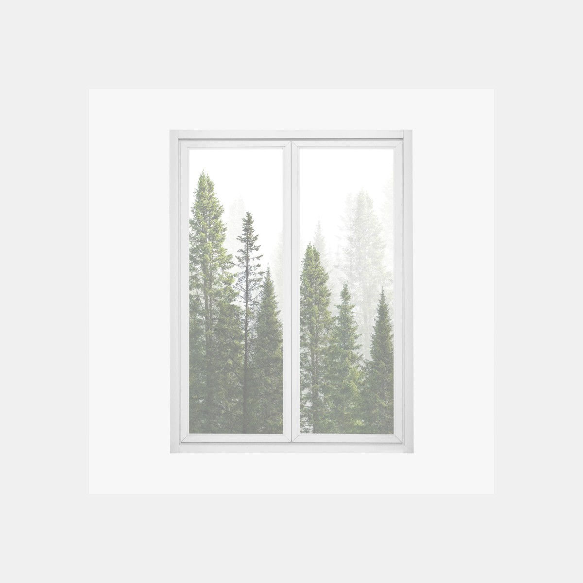 Window decal misty fir forest panorama • Wallissimo® Window decal misty fir forest panorama • Wallissimo®