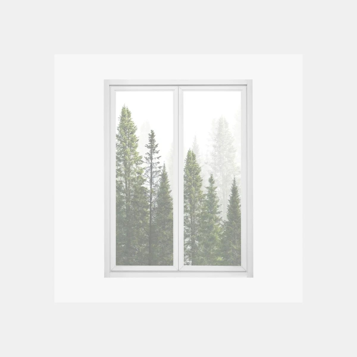 Window decal misty fir forest panorama • Wallissimo® Window decal misty fir forest panorama • Wallissimo®