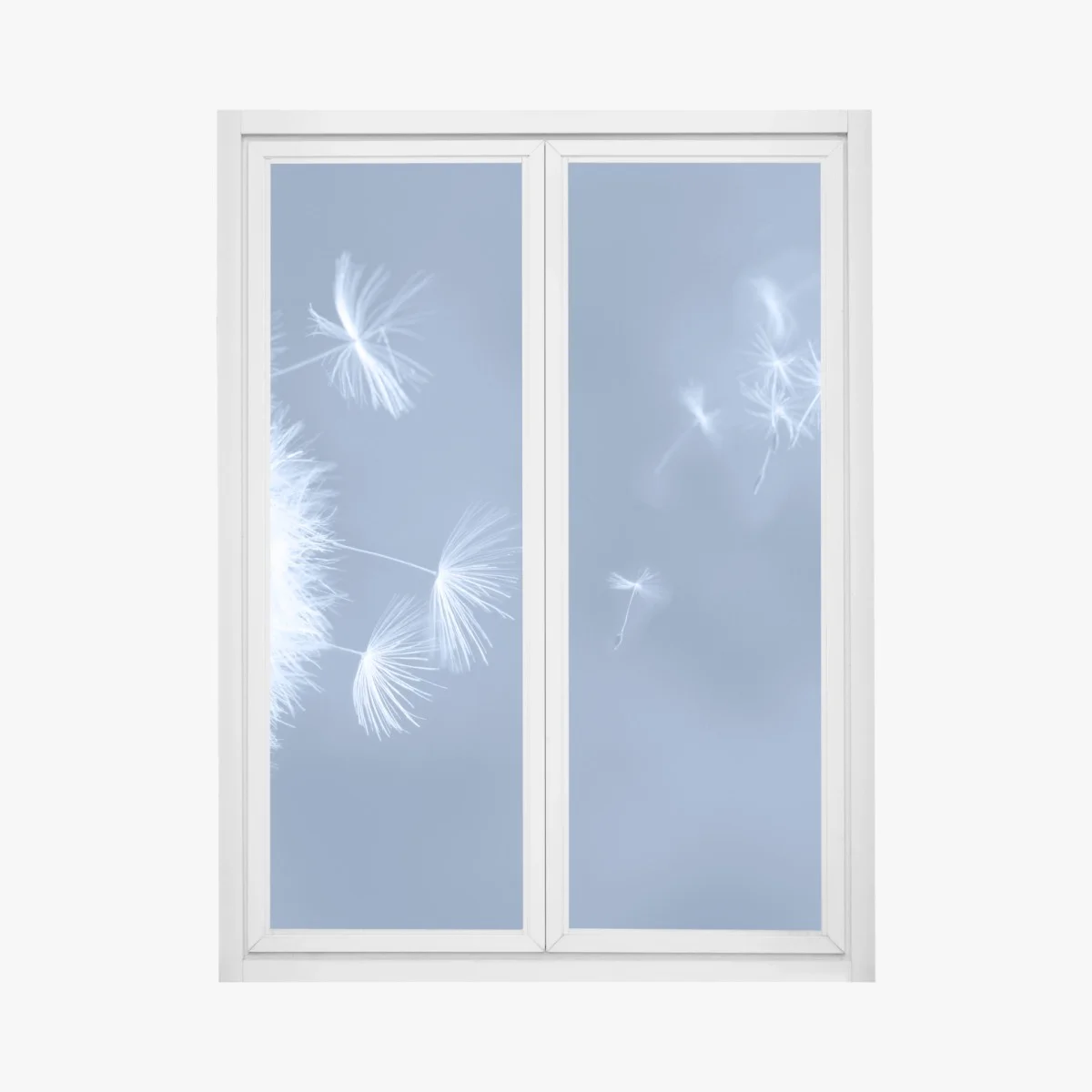 Window decal gentle dandelion seeds in blue ⁕ Wallissimo® Window decal gentle dandelion seeds in blue ⁕ Wallissimo®