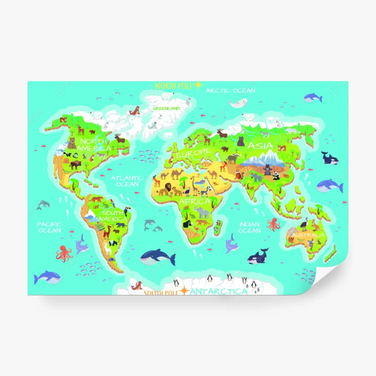 Wall mural colorful animal world map for kids ⁕ Wallissimo®