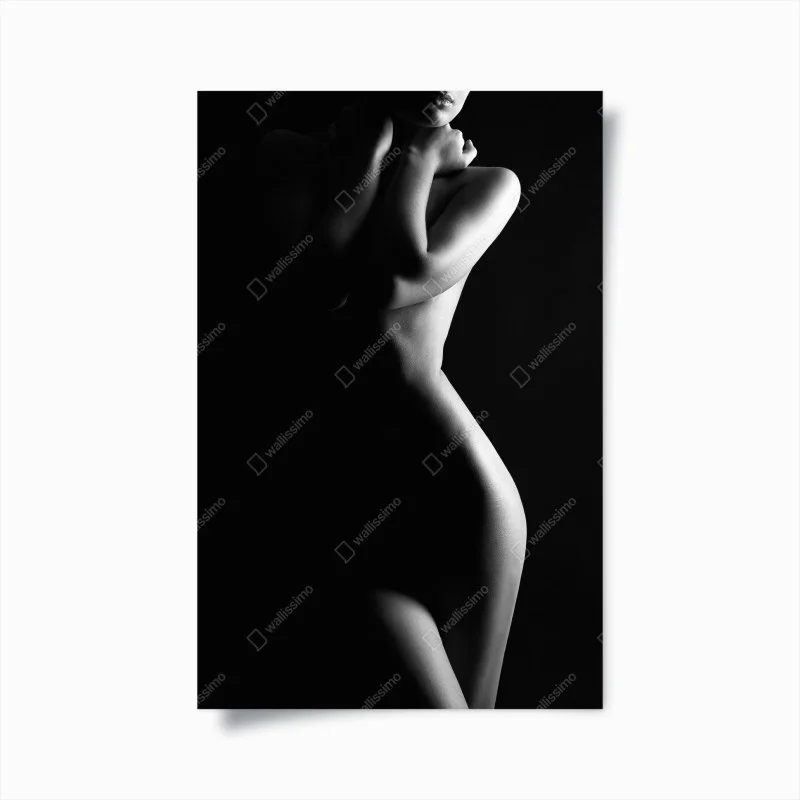 Poster sensual silhouette of a female form