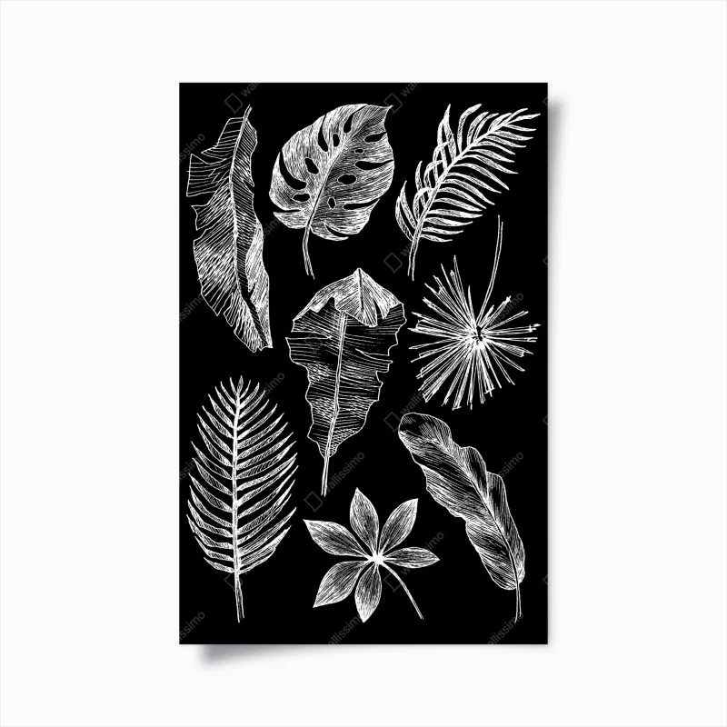 Poster monochrome botanical leaf composition