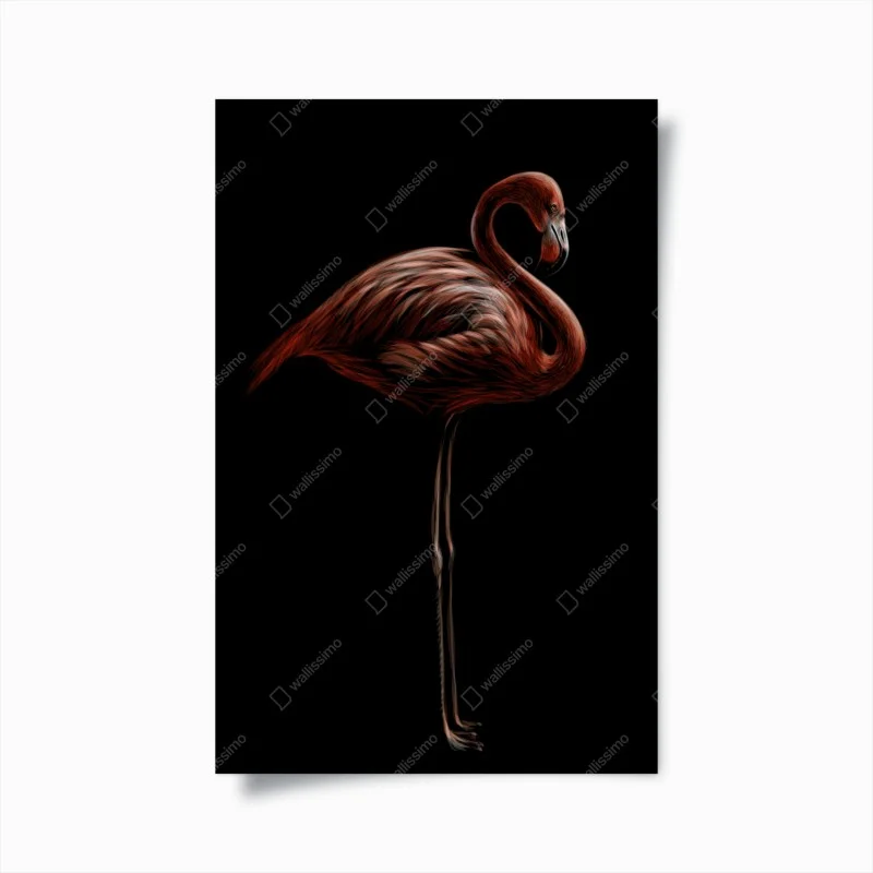 Poster elegant red flamingo on black background