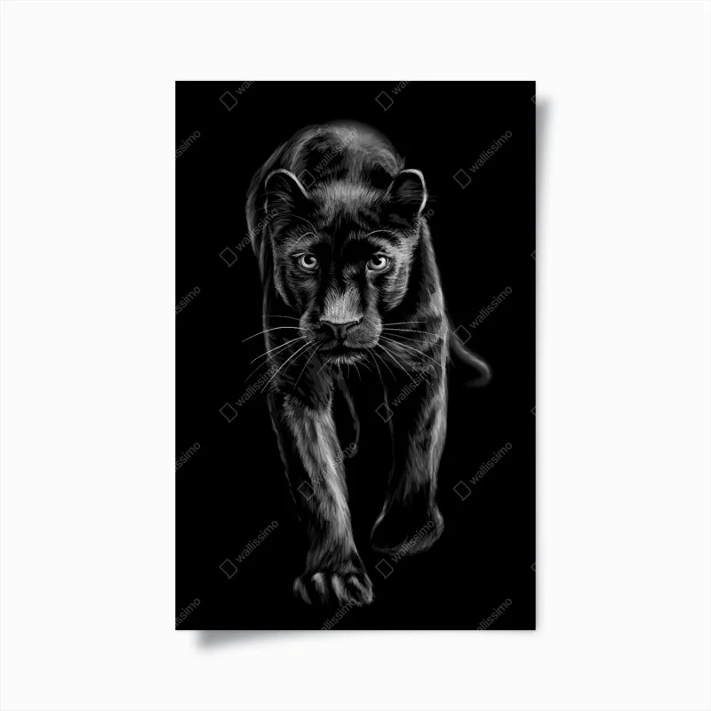 Poster striding black panther illustration