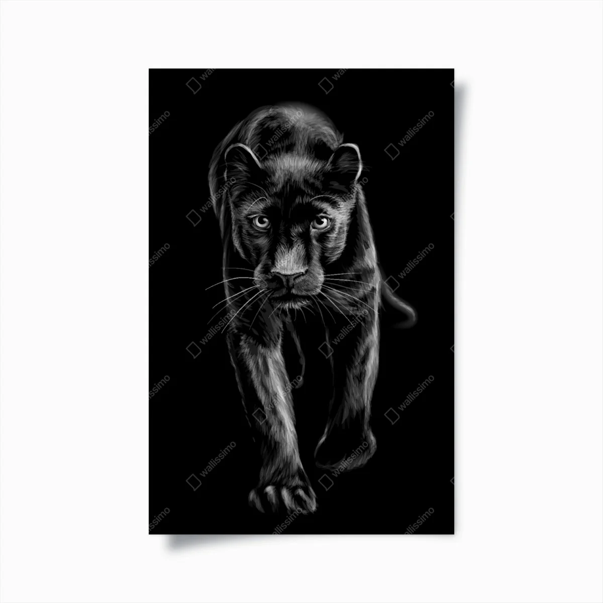 Poster striding black panther illustration ⁕ Wallissimo® Poster striding black panther illustration ⁕ Wallissimo®