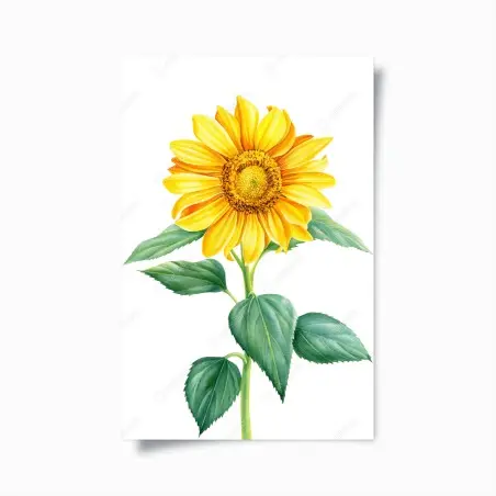 Poster bright sunflower watercolor illustration • Wallissimo®