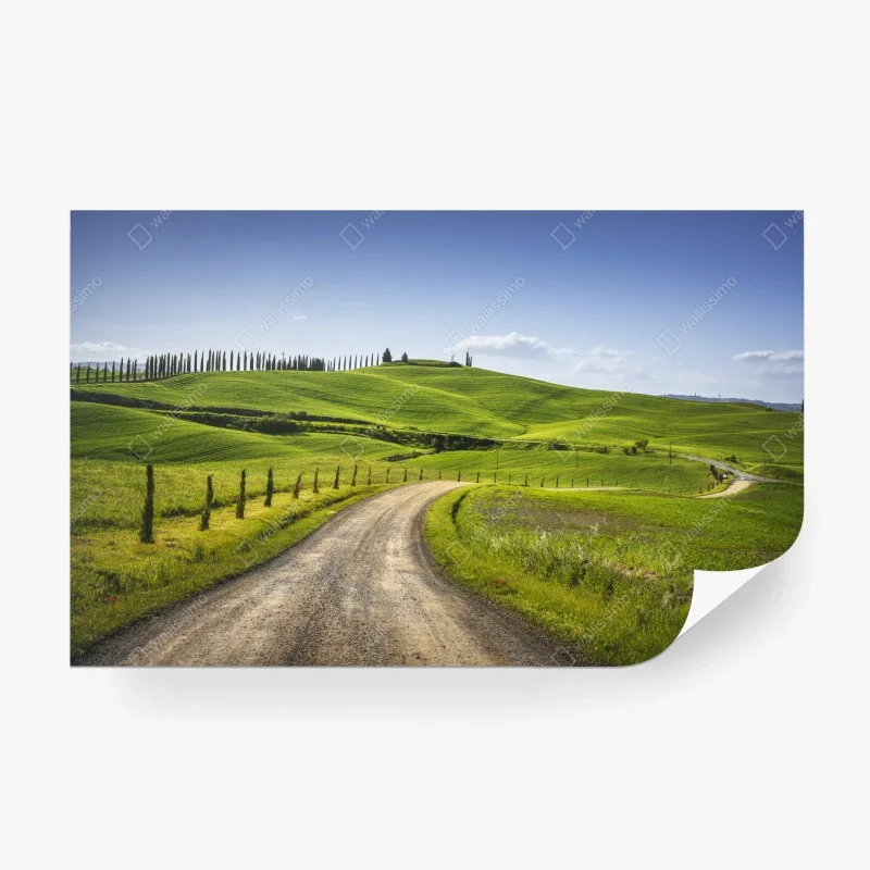 Wall mural Tuscany country road through rolling green hills