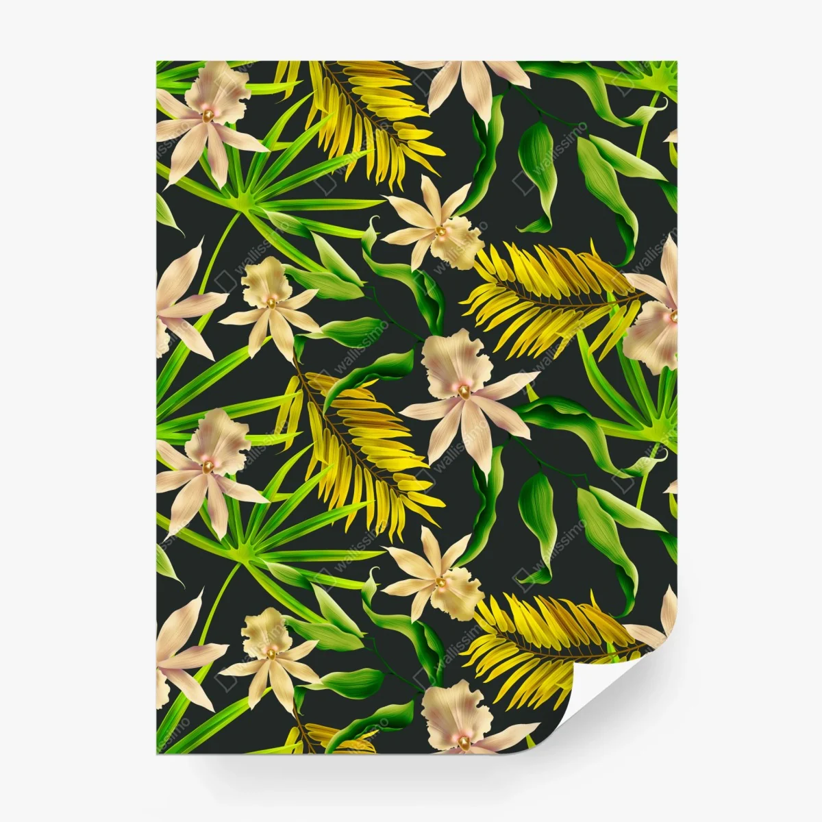 Wall mural tropical orchid floral pattern on dark background • Wallissimo®