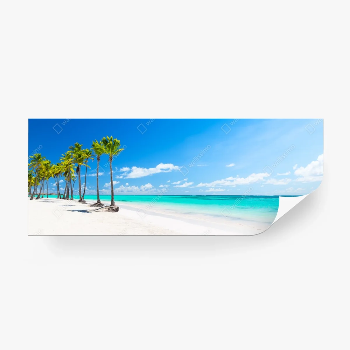 Wall mural tropical beach panorama in Punta Cana • Wallissimo®
