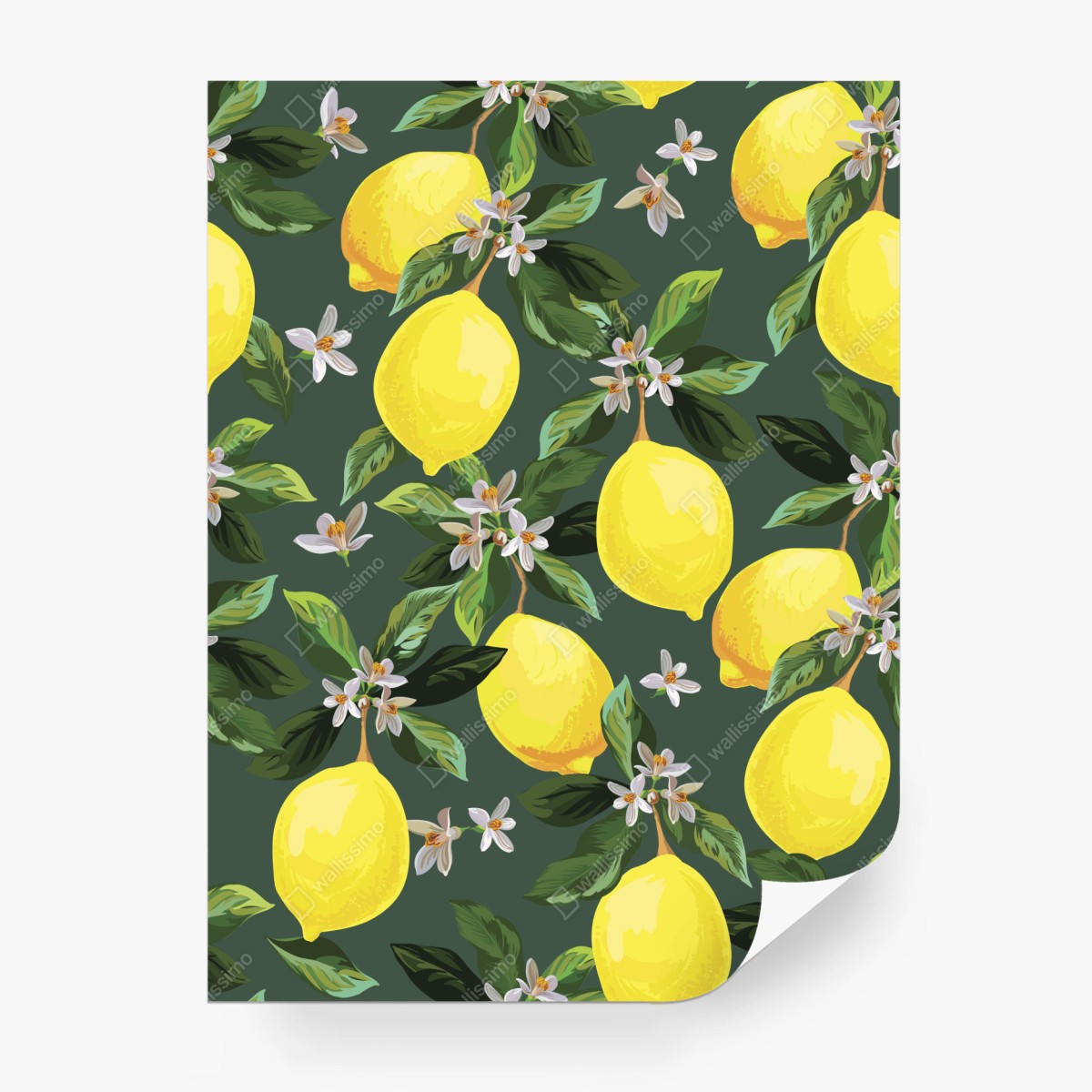 Wall mural lemon blossom botanical print • Wallissimo®