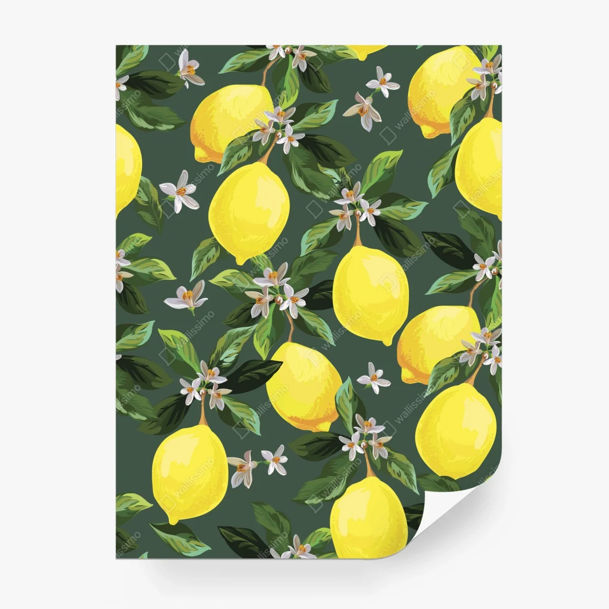 Wall mural lemon blossom botanical print • Wallissimo® Wall mural lemon blossom botanical print • Wallissimo®