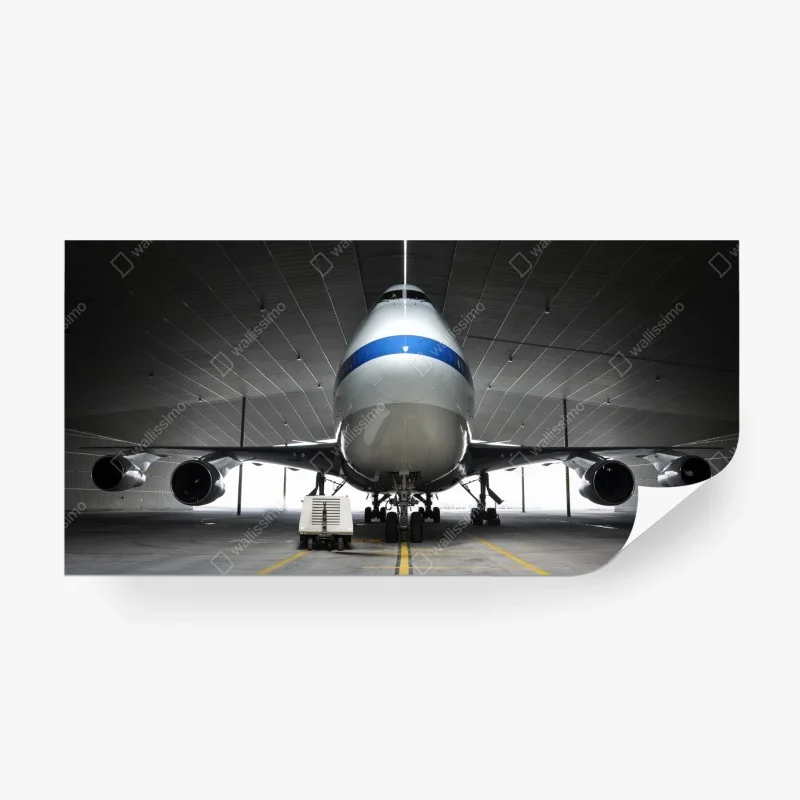 Wall mural front-facing cargo jet in hangar