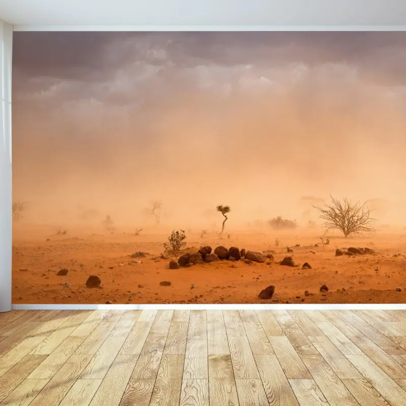 Wall mural dusty sandstorm over Dollo Ado, Ethiopia