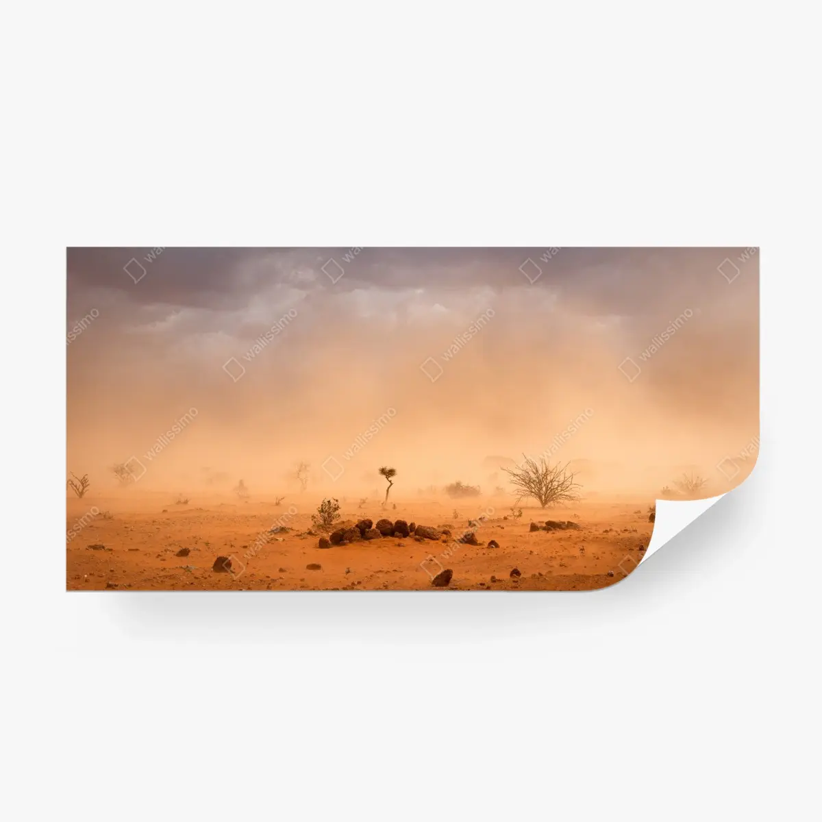 Wall mural dusty sandstorm over Dollo Ado, Ethiopia ⁕ Wallissimo®