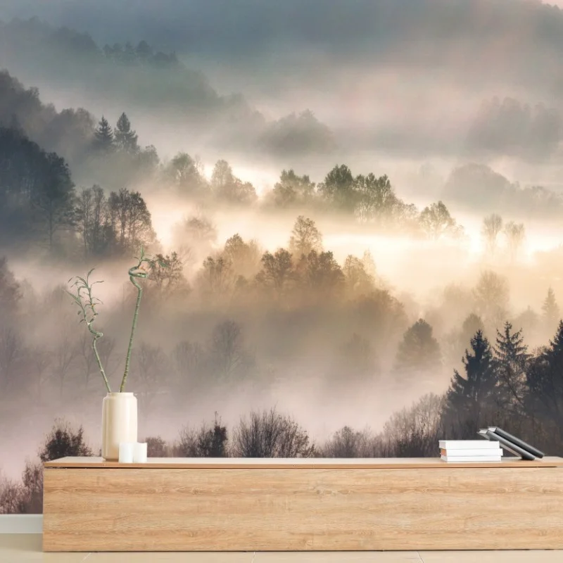 Wall mural misty forest at dawn