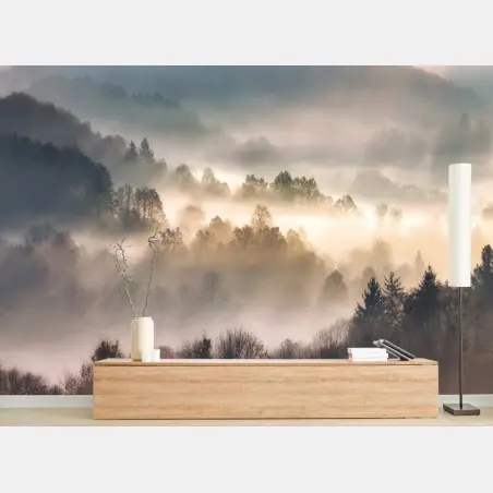 Wall mural misty forest at dawn • Wallissimo®