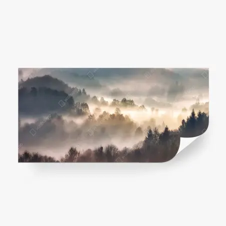 Wall mural misty forest at dawn • Wallissimo®
