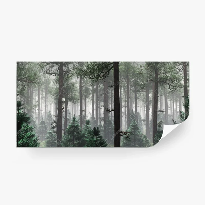 Wall mural misty evergreen forest panorama