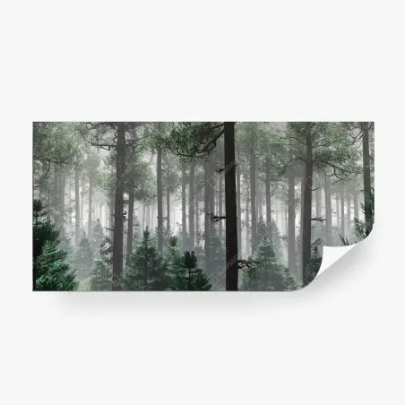 Wall mural misty evergreen forest panorama • Wallissimo®