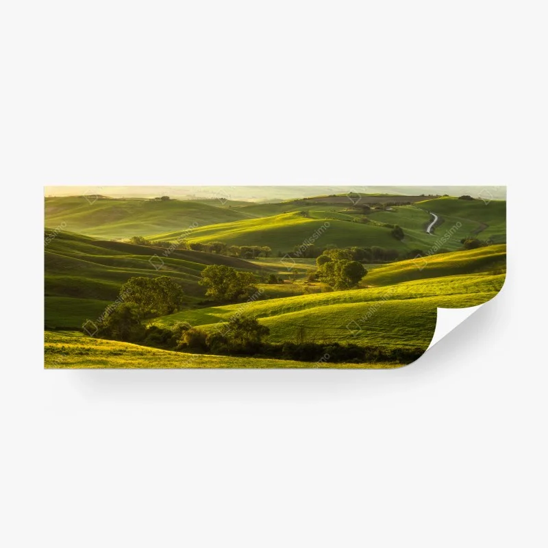 Wall mural sunlit rolling green hills