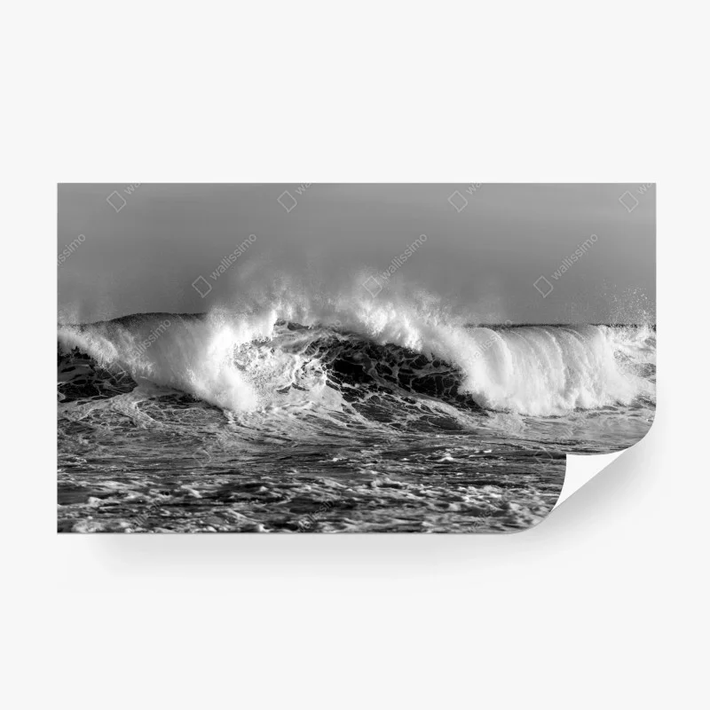 Wall mural dramatic monochrome ocean wave