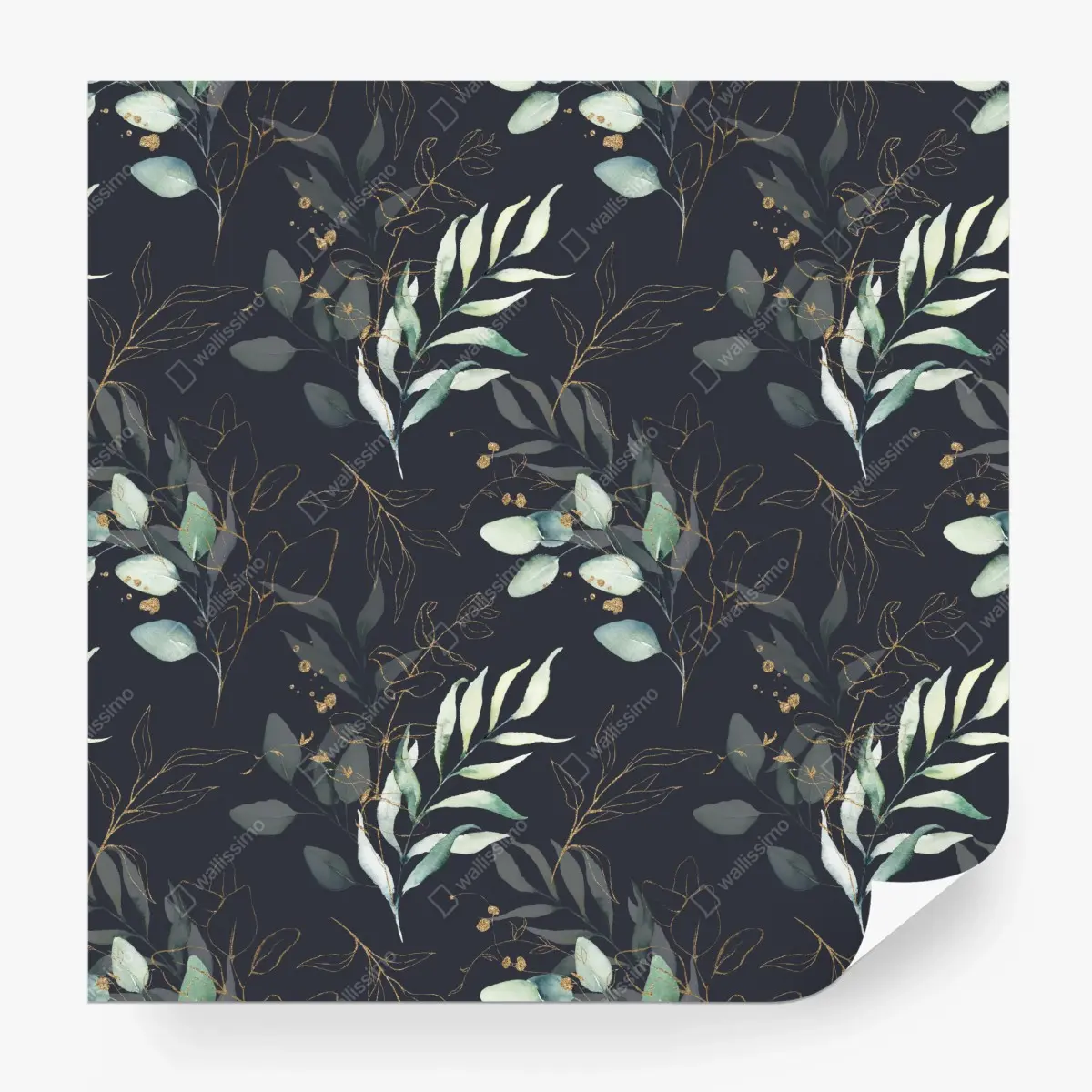 Wall mural watercolor eucalyptus leaves on dark background • Wallissimo®