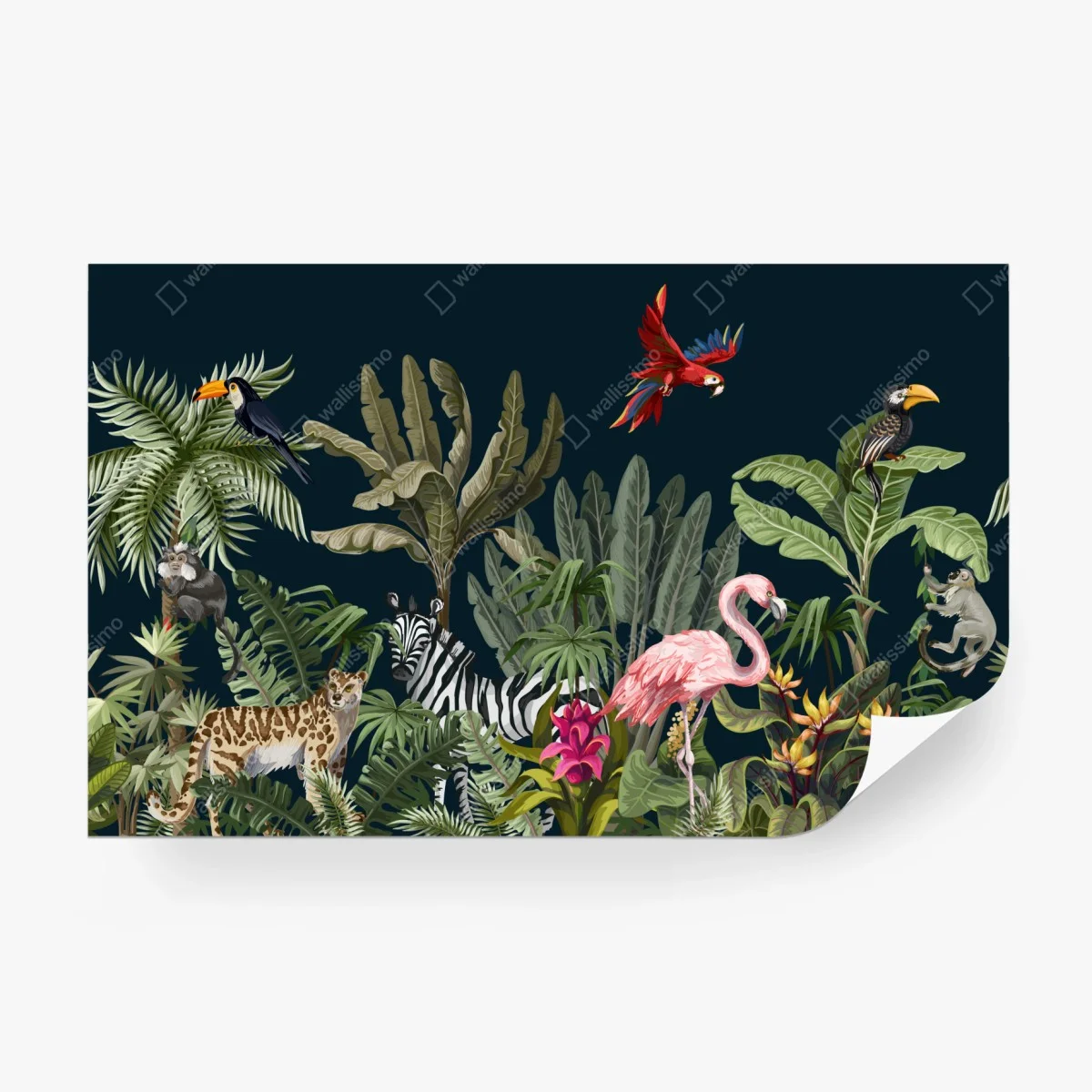 Wall mural tropical jungle wildlife illustration ⁕ Wallissimo®