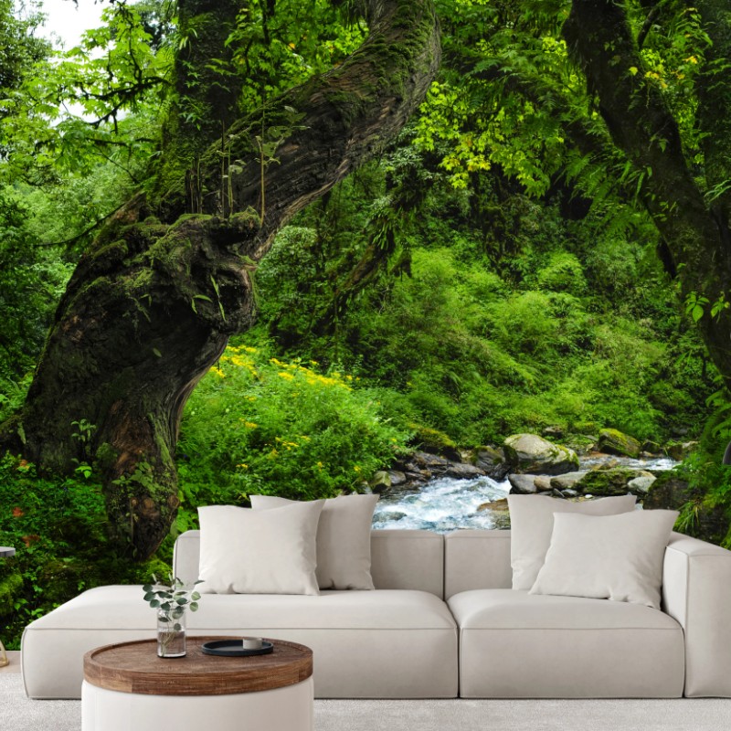 Wall mural mossy forest stream panorama