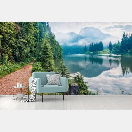 Wall mural misty morning at Lacu Rosu • Wallissimo®