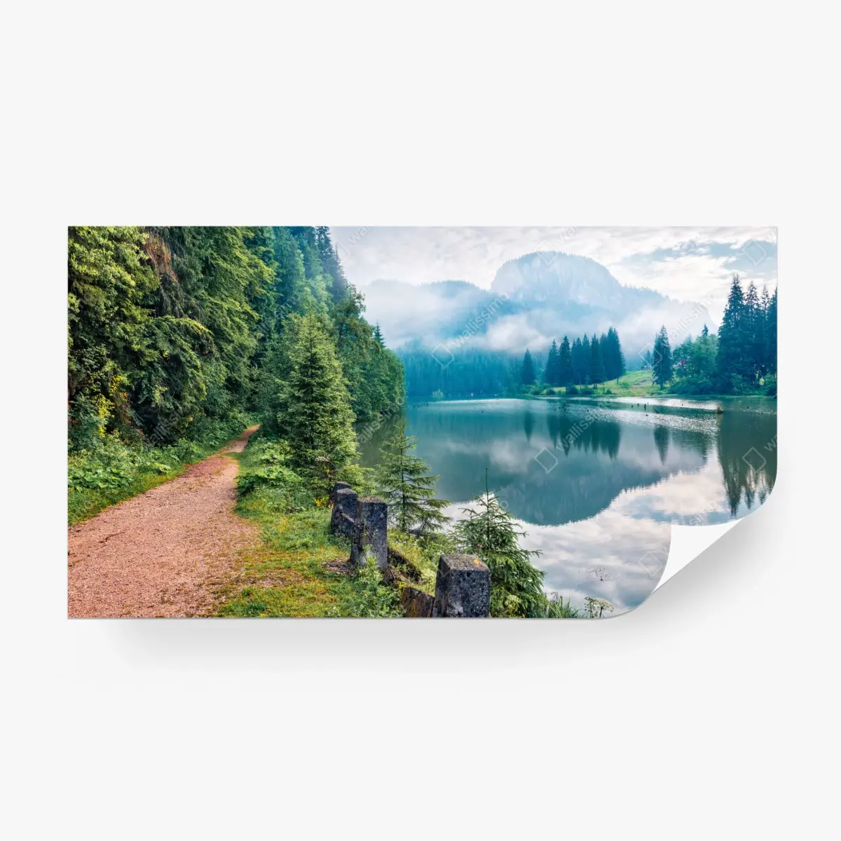 Wall mural misty morning at Lacu Rosu • Wallissimo®