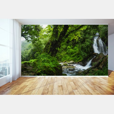 Wall mural lush green waterfall forest landscape • Wallissimo®