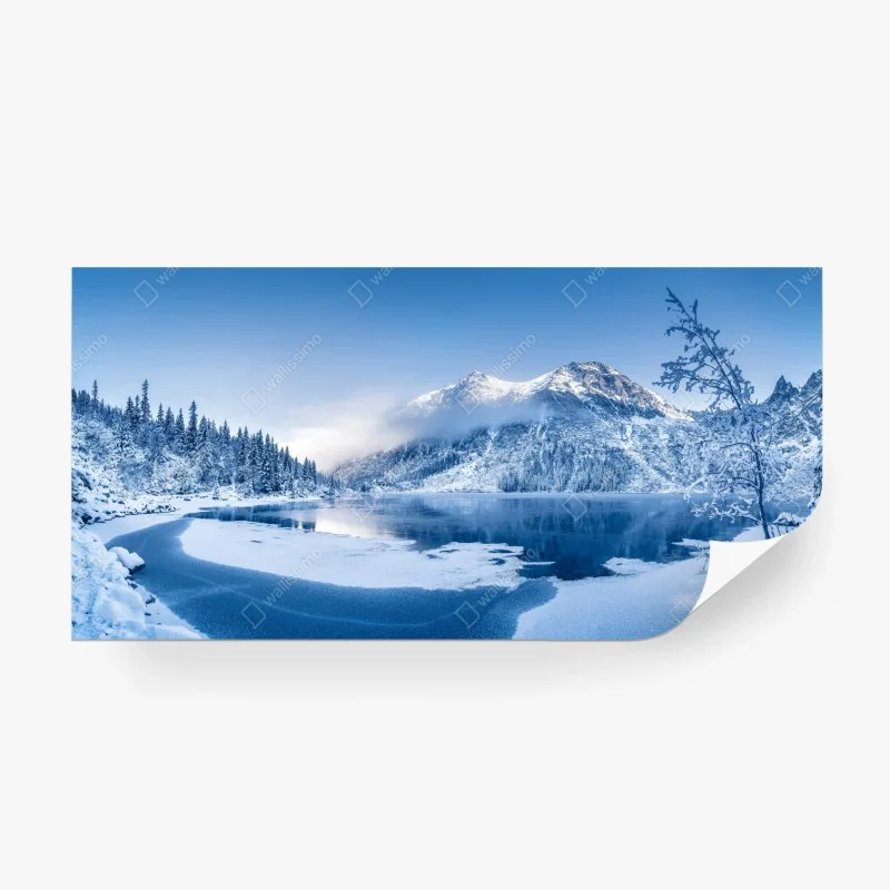 Wall mural serene winter panorama of the Alps