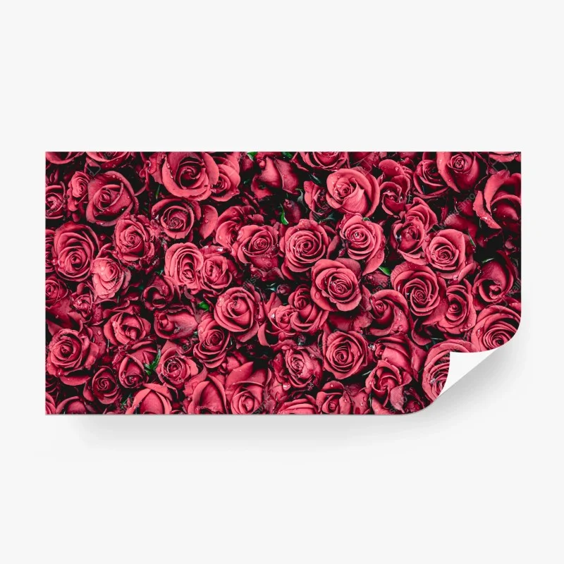 Wall mural lush red roses floral wall art