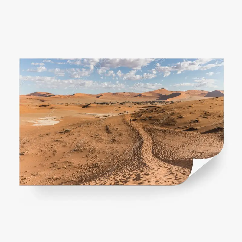 Wall mural vast desert dunes under blue sky