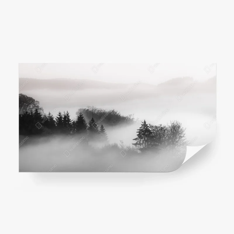 Wall mural misty forest in monochrome