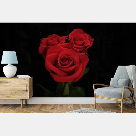 Wall mural red roses on black background • Wallissimo®